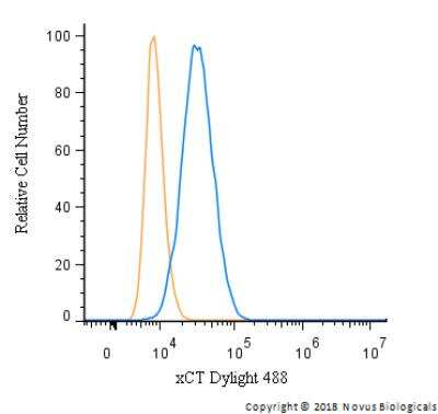 Flow Cytometry: xCT Antibody [DyLight 488] [NB300-317G] - An intracellular stain was performed on HeLa cells with xCT Antibody NB300-317G (blue) and a matched isotype control (orange). Cells were fixed with 4% PFA and then permeabilized with 0.1% saponin. Cells were incubated in an antibody dilution of 5 ug/mL for 30 minutes at room temperature. Both antibodies were conjugated to DyLight 488.